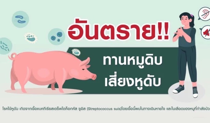 อันตราย! รับประทานหมูดิบ เสี่ยงโรคไข้หูดับ