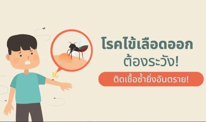 ไข้เลือดออก ต้องระวัง! ติดเชื้อซ้ำยิ่งอันตราย