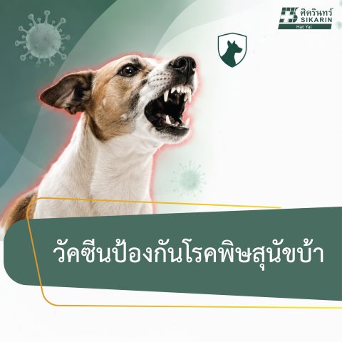 วัคซีนพิษสุนัขบ้า
