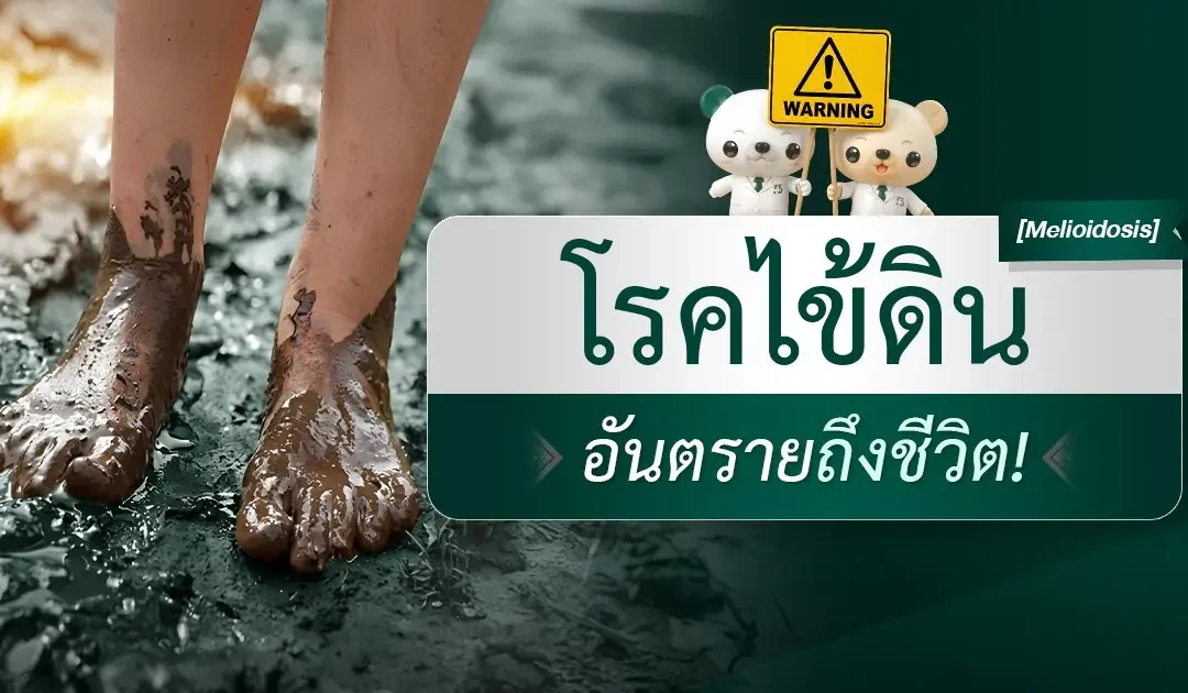 โรคไข้ดิน (Melioidosis) อันตรายถึงชีวิต!